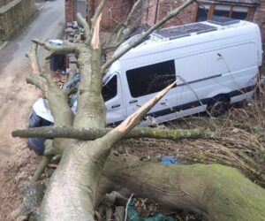 £50,000 Campervan Destroyed by Fallen Tree During Storm