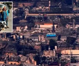 Unscathed VW Campervan Found Intact Amidst LA Fire Ruins